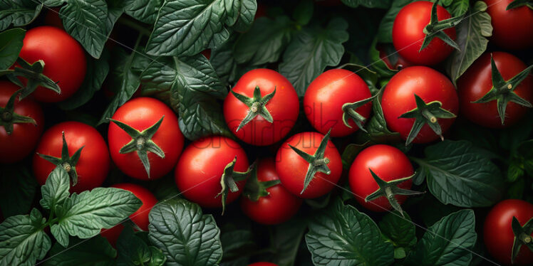 A background of tomatoes and leaves - Starpik Stock