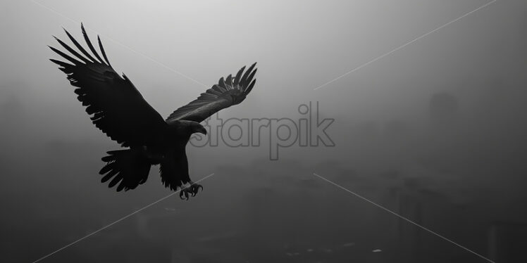 An eagle flying over a city - Starpik Stock