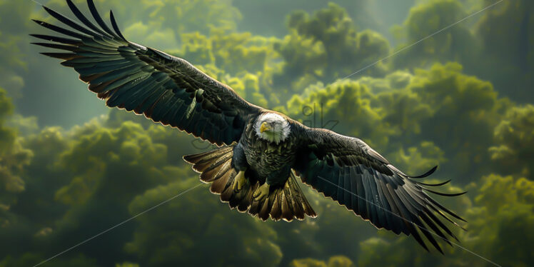 An eagle flying over a forest - Starpik Stock