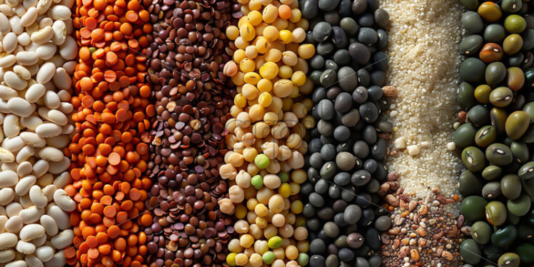 Different types of beans on a white background - Starpik Stock