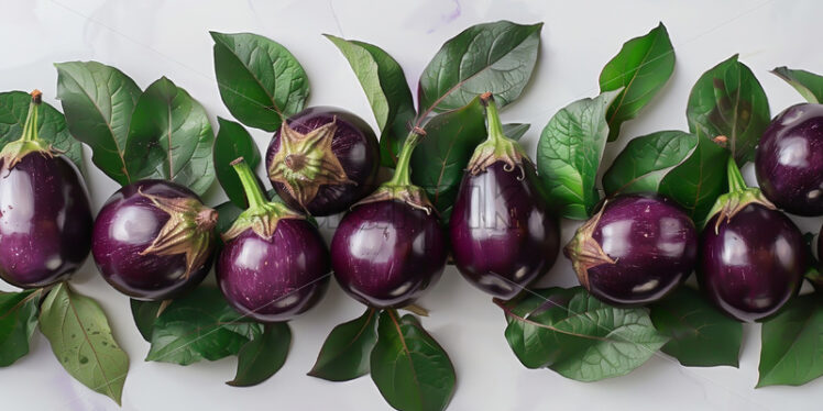 Eggplant on white background, studio shot - Starpik Stock