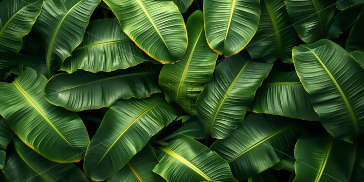 Green banana leaves as background - Starpik Stock