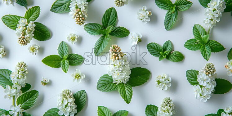 Mint leaves and flowers on a white background - Starpik Stock