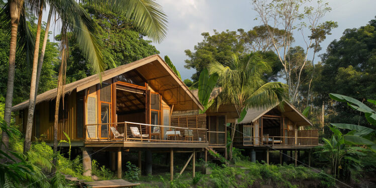 Bamboo Haven Retreat - Starpik Stock