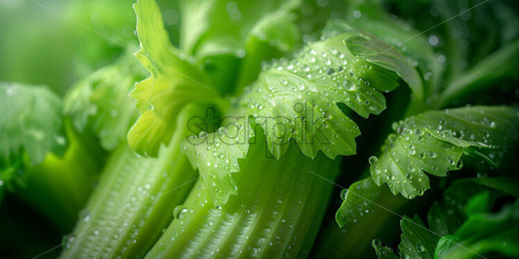 Celery close up macro healthy background - Starpik