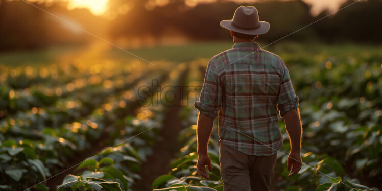 Farmer inspecting his land harvest at sunset - Starpik