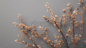 Herbal minimalistic background - Starpik