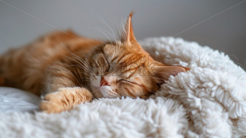 Red kitten sleeping in the fluffy pillows - Starpik