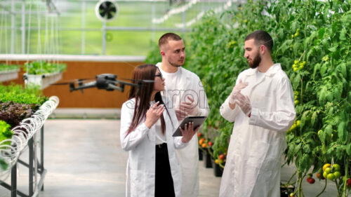 VIDEO Drone filming three laboratory technicians in white coats working with plants grown with the Hydroponic method in a greenhouse - Starpik