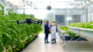 VIDEO Drone filming through a greenhouse while people are working - Starpik