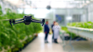 VIDEO Drone filming through a greenhouse while people are working - Starpik