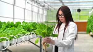 VIDEO Laboratory technician in a white coat, analysing lettuce grown with the Hydroponic method in a greenhouse - Starpik