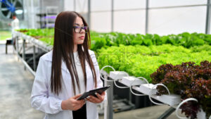 VIDEO Laboratory technician in a white coat, analysing plants grown with the Hydroponic method in a greenhouse - Starpik