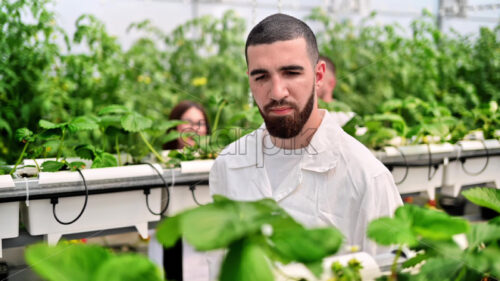 VIDEO Laboratory technician in a white coat, analysing plants grown with the Hydroponic method in a greenhouse - Starpik