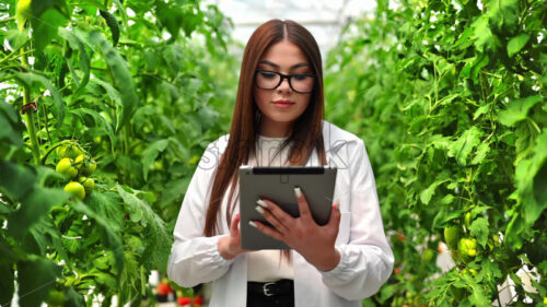 VIDEO Laboratory technician in a white coat analysing tomatoes grown in a greenhouse - Starpik