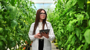 VIDEO Laboratory technician in a white coat analysing tomatoes grown in a greenhouse - Starpik