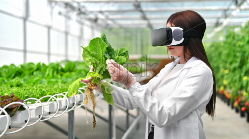 VIDEO Laboratory technician in a white coat wearing a Virtual Reality headset, analysing lettuce grown with the Hydroponic method in a greenhouse - Starpik