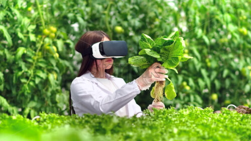 VIDEO Laboratory technician in a white coat wearing a Virtual Reality headset, analysing lettuce grown with the Hydroponic method in a greenhouse - Starpik