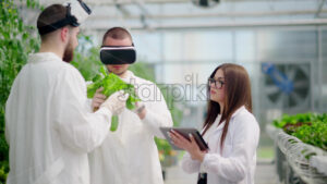 VIDEO Three laboratory technicians in white coats wearing Virtual Reality headsets, analysing lettuce grown with the Hydroponic method in a greenhouse - Starpik