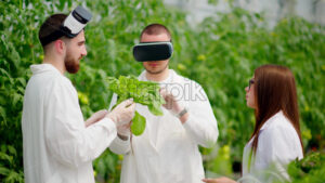 VIDEO Three laboratory technicians in white coats wearing Virtual Reality headsets, analysing lettuce grown with the Hydroponic method in a greenhouse - Starpik