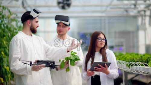 VIDEO Three laboratory technicians in white coats wearing Virtual Reality headsets, holding a drone and a tablet, analysing lettuce grown with the Hydroponic method in a greenhouse - Starpik