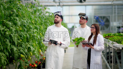 VIDEO Three laboratory technicians in white coats wearing Virtual Reality headsets, holding a drone and a tablet, analysing lettuce grown with the Hydroponic method in a greenhouse - Starpik