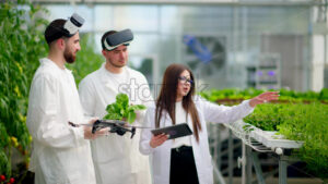 VIDEO Three laboratory technicians in white coats wearing Virtual Reality headsets, holding a drone and a tablet, analysing lettuce grown with the Hydroponic method in a greenhouse - Starpik