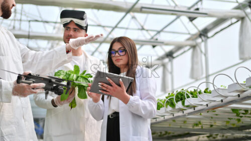 VIDEO Three laboratory technicians in white coats working with plants grown with the Hydroponic method in a greenhouse - Starpik