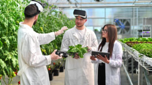 VIDEO Three laboratory technicians in white coats working with plants grown with the Hydroponic method in a greenhouse - Starpik