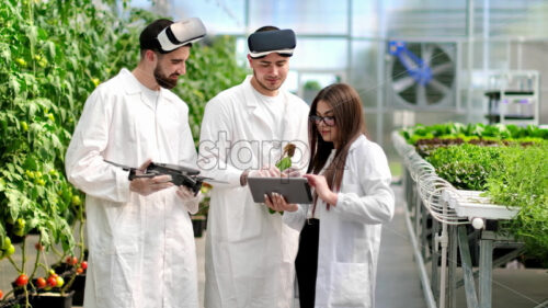 VIDEO Three laboratory technicians in white coats working with plants grown with the Hydroponic method in a greenhouse - Starpik