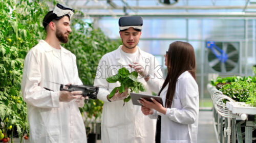 VIDEO Three laboratory technicians in white coats working with plants grown with the Hydroponic method in a greenhouse - Starpik