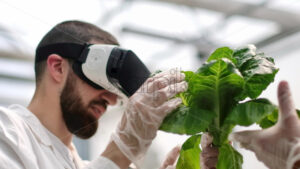 VIDEO Two laboratory technicians in white coats wearing Virtual Reality headsets, analysing lettuce grown with the Hydroponic method in a greenhouse - Starpik