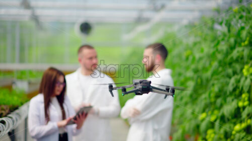 VIDEO Drone filming three laboratory technicians in white coats working with plants grown with the Hydroponic method in a greenhouse - Starpik