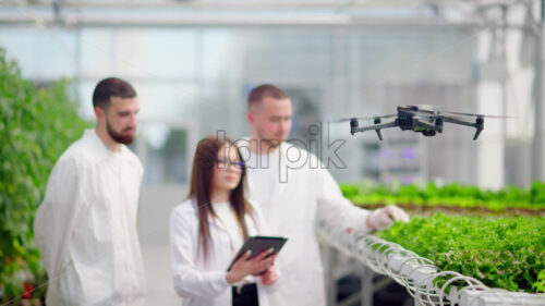 VIDEO Drone filming three laboratory technicians in white coats working with plants grown with the Hydroponic method in a greenhouse - Starpik