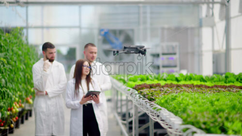 VIDEO Drone filming three laboratory technicians in white coats working with plants grown with the Hydroponic method in a greenhouse - Starpik