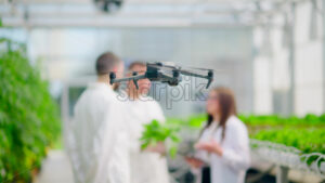 VIDEO Drone filming three laboratory technicians in white coats working with plants grown with the Hydroponic method in a greenhouse - Starpik