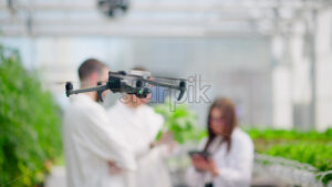 VIDEO Drone filming three laboratory technicians in white coats working with plants grown with the Hydroponic method in a greenhouse - Starpik