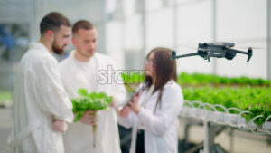 VIDEO Drone filming three laboratory technicians in white coats working with plants grown with the Hydroponic method in a greenhouse - Starpik