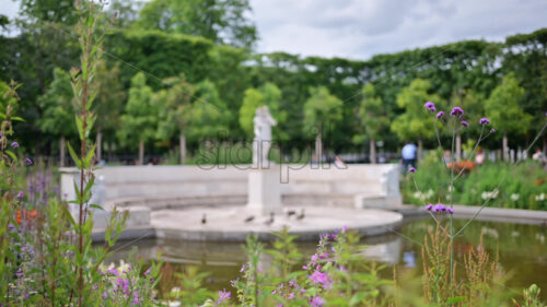 VIDEO Ducks moving near a statue in the Tuileries Garden in Paris, France - Starpik