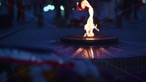 VIDEO Eternal flame burning on the Tomb of the Unknown Soldier in the evening, Paris, France - Starpik