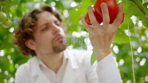 VIDEO Laboratory technician in a white coat analysing tomatoes grown in a greenhouse - Starpik