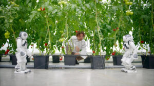 VIDEO Laboratory technician in a white coat analysing two humanoid robots in a greenhouse farm - Starpik