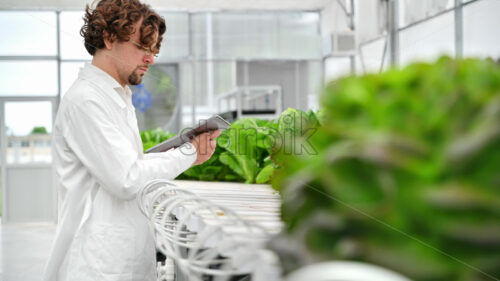 VIDEO Laboratory technician in a white coat, holding a tablet while analysing plants grown with the Hydroponic method in a greenhouse - Starpik