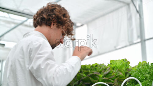 VIDEO Laboratory technician in a white coat, holding a tablet while analysing plants grown with the Hydroponic method in a greenhouse - Starpik