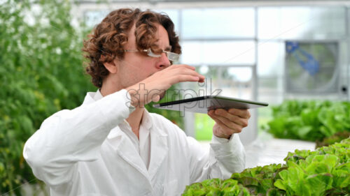 VIDEO Laboratory technician in a white coat, holding a tablet while analysing plants grown with the Hydroponic method in a greenhouse - Starpik