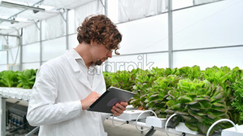 VIDEO Laboratory technician in a white coat, holding a tablet while analysing plants grown with the Hydroponic method in a greenhouse - Starpik