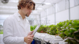VIDEO Laboratory technician in a white coat, holding a tablet while analysing plants grown with the Hydroponic method in a greenhouse - Starpik