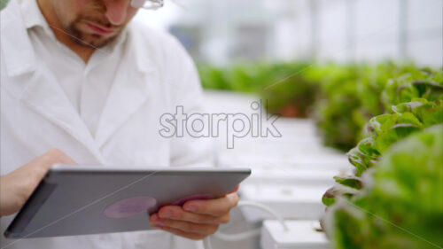 VIDEO Laboratory technician in a white coat, holding a tablet while analysing plants grown with the Hydroponic method in a greenhouse - Starpik