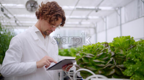 VIDEO Laboratory technician in a white coat, holding a tablet while analysing plants grown with the Hydroponic method in a greenhouse - Starpik