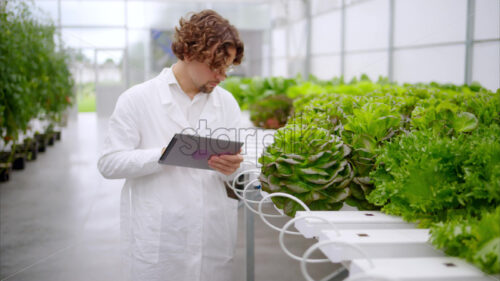 VIDEO Laboratory technician in a white coat, holding a tablet while analysing plants grown with the Hydroponic method in a greenhouse - Starpik